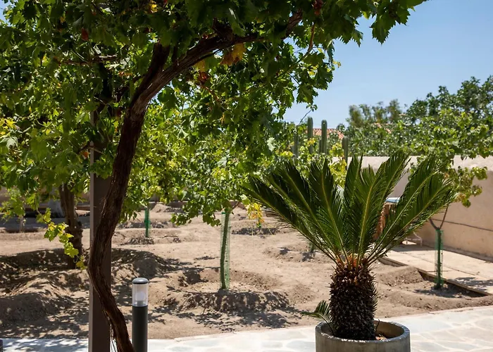 Cactus Aegina Home